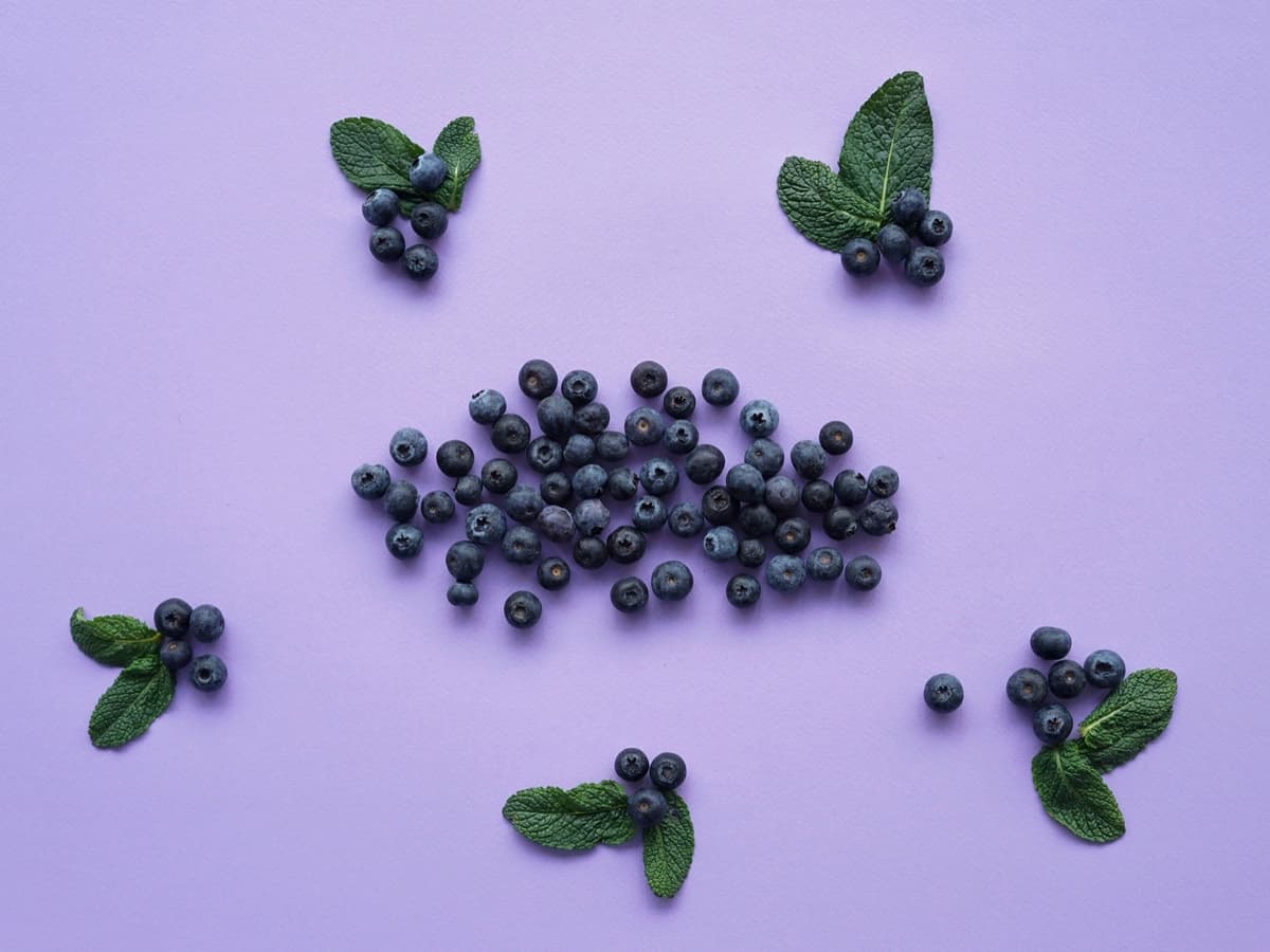 The Best Summer Foods, According to Science — illustration